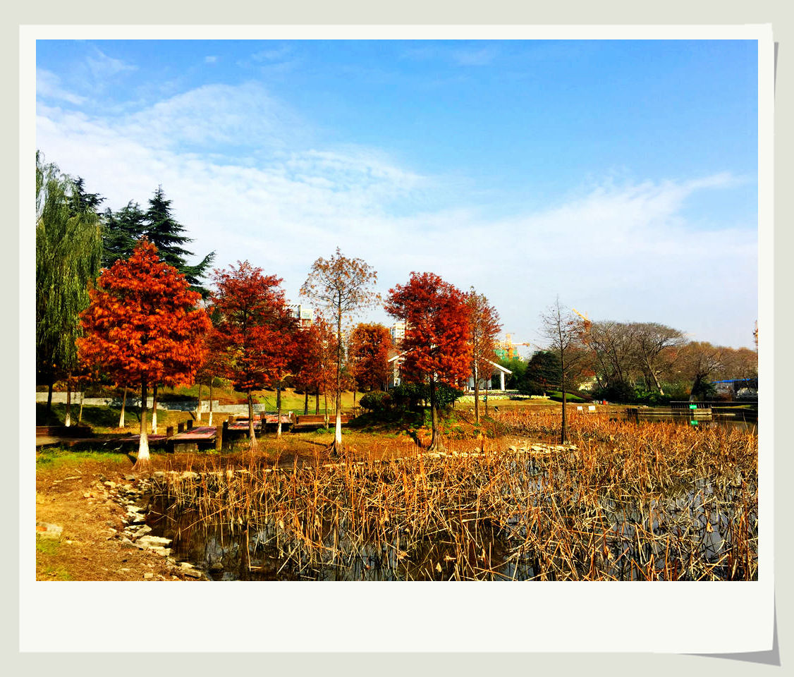 【再拍西苑】(2)