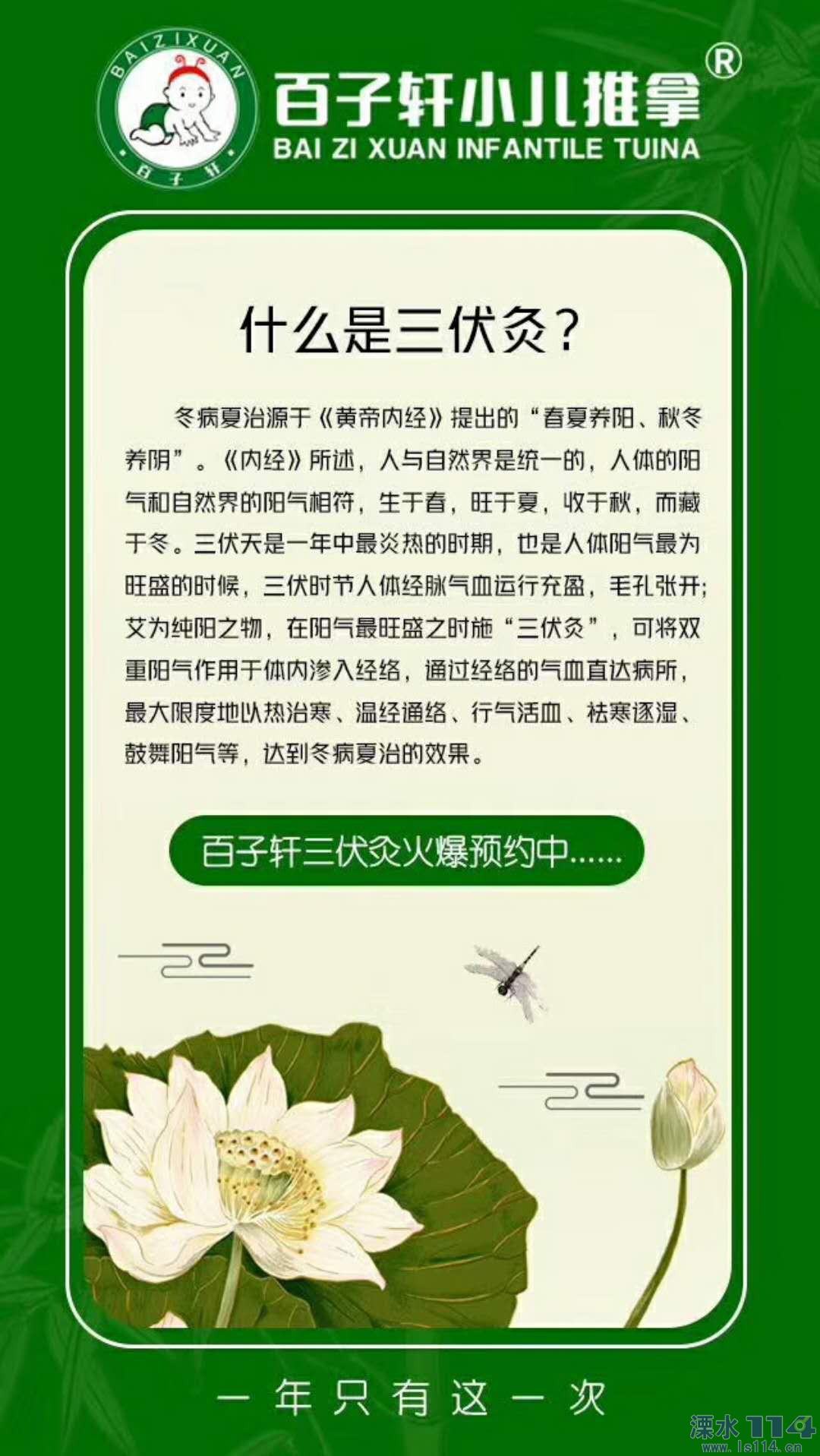 三伏天到底有多重要?